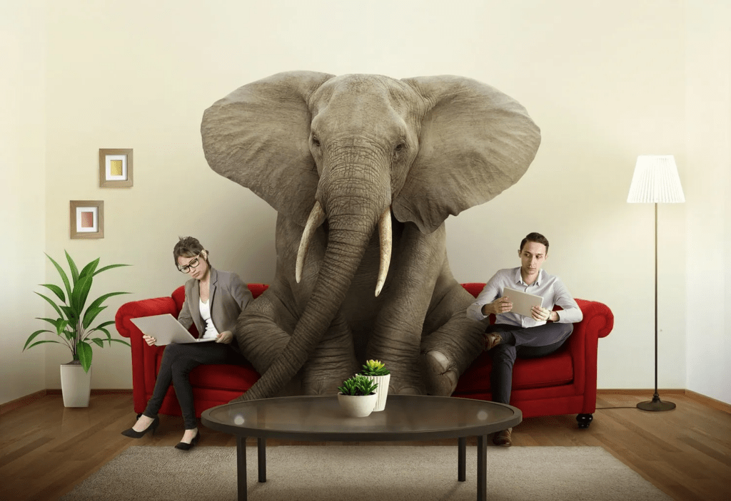The Elephant in the Room
