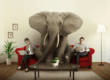 The Elephant in the Room