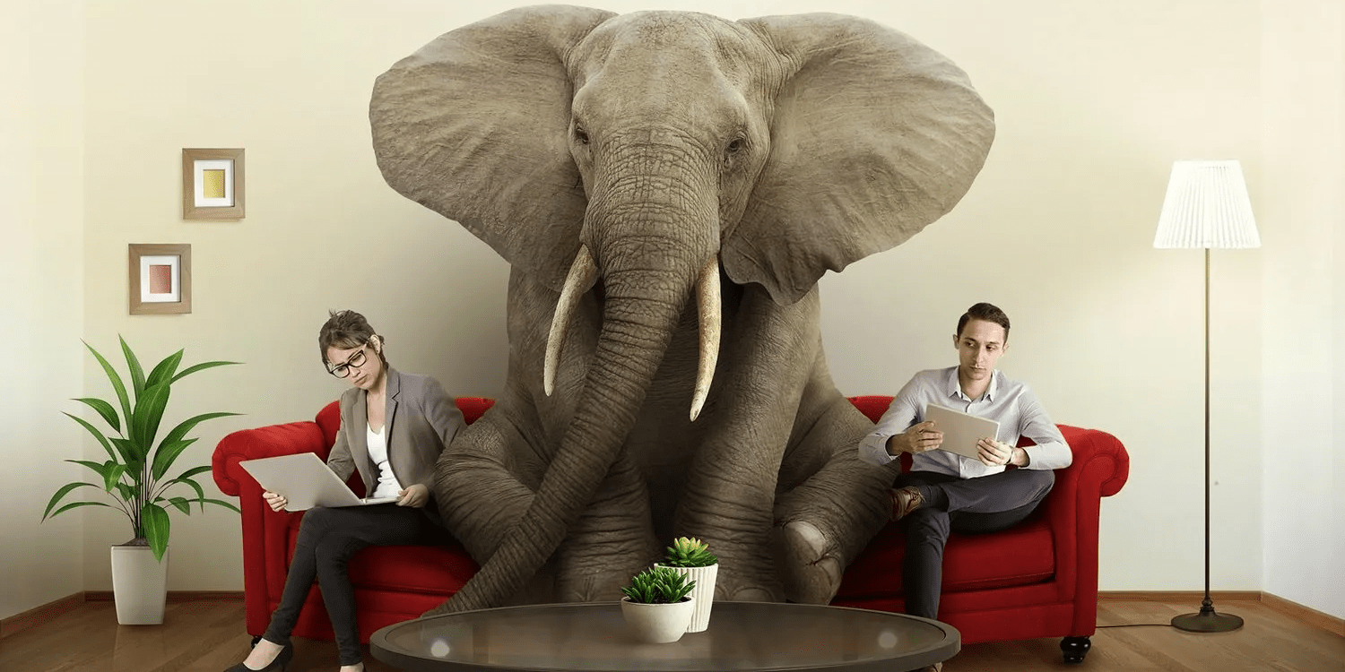 The Elephant in the Room