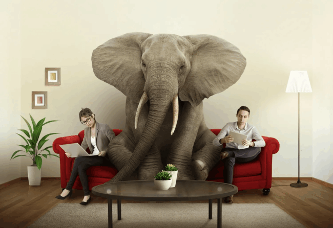 The Elephant in the Room